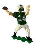 Quarterback Model