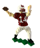 Quarterback Model