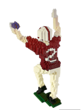 One Handed Receiver Catch MicroBlock Model