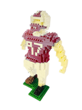Field Goal Kicker Micro-Block model