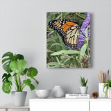 Monarch Butterfly Canvas Gallery Wraps