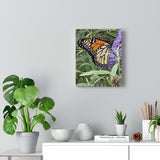 Monarch Butterfly Canvas Gallery Wraps