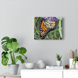 Monarch Butterfly Canvas Gallery Wraps