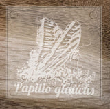 Hand etched Glass coasters featuring Butterflies, Monarch, Fritilary, Black Swallowtail, and Tiger Swallowtail - Inspired Passion Productions
