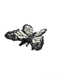 White Monarch Mini Morph Butterfly MicroBlock Model
