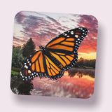 Monarch Butterfly Corkwood Coaster Set