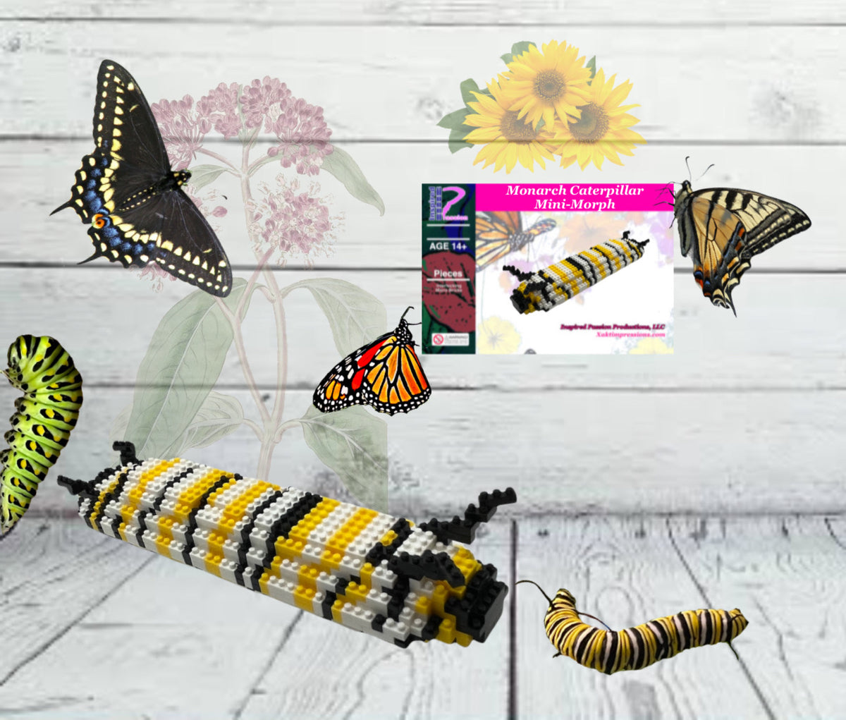 Monarch Caterpillar Replacement Kit – Whimsical Wings Farms