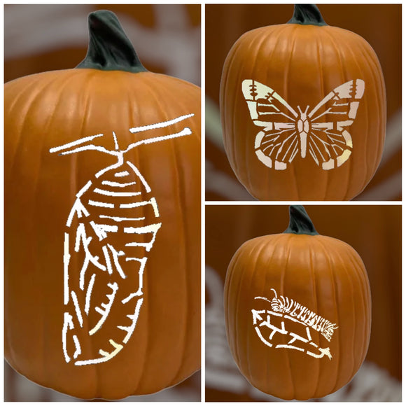 Small 7” Carved Styrofoam Pumpkin with LED lights (Copy)