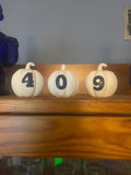 Mini Accent Pumpkins sets of 3