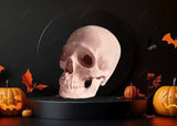 Halloween Skull Decor 3D Printed