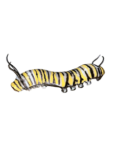 Monarch Caterpillar 6” 3D printed figure