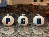 Mini Accent Pumpkins sets of 3