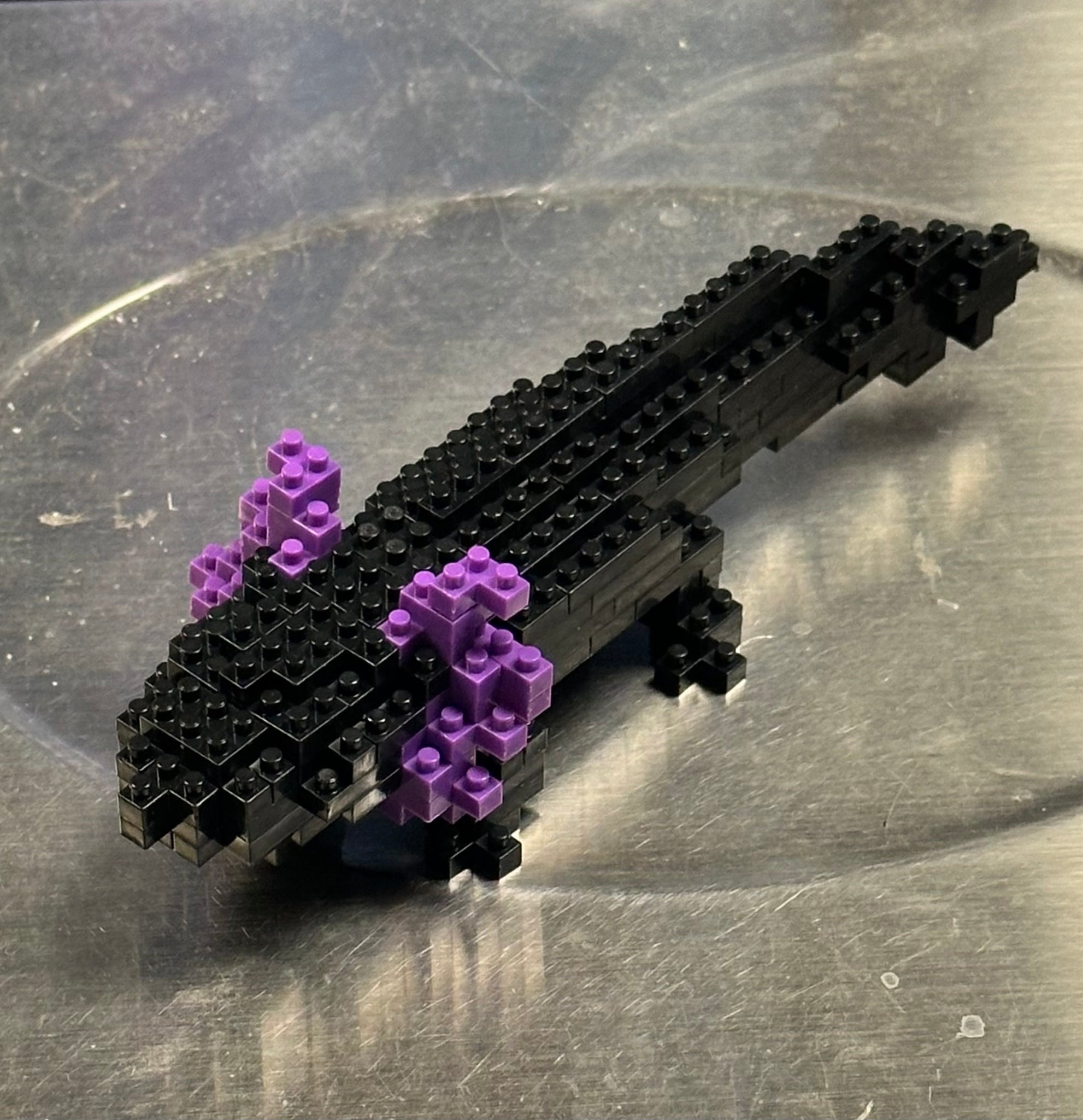 Microblocks Axolotal (Black) Tiny Axolotl Micro Morph Micro-Block model – Inspired Passion ...