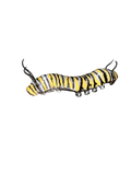 Monarch Caterpillar 6” 3D printed figure