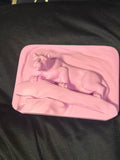Mountain Lion Plaque