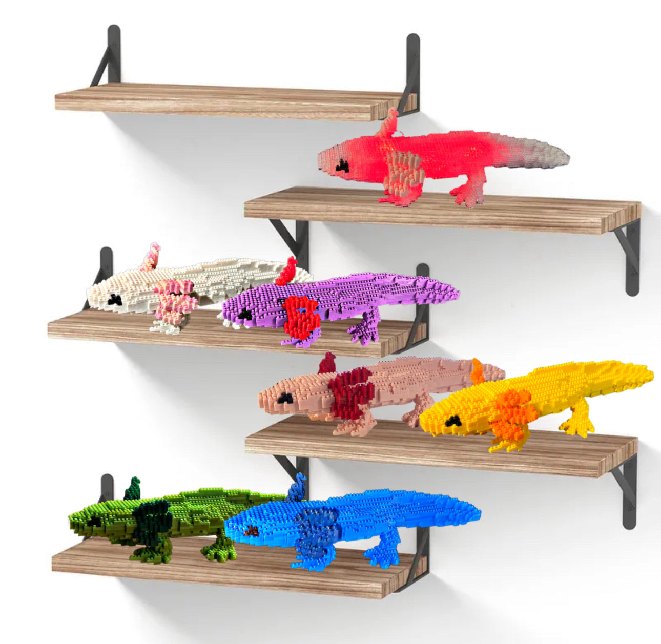 Microblocks Axolotal AXOLOTL Mini-Morph Micro-Block Model – Inspired Passion Productions