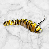 Monarch Caterpillar 6” 3D printed figure