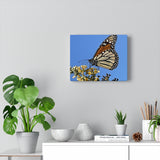 Monarch sky Canvas Gallery Wraps