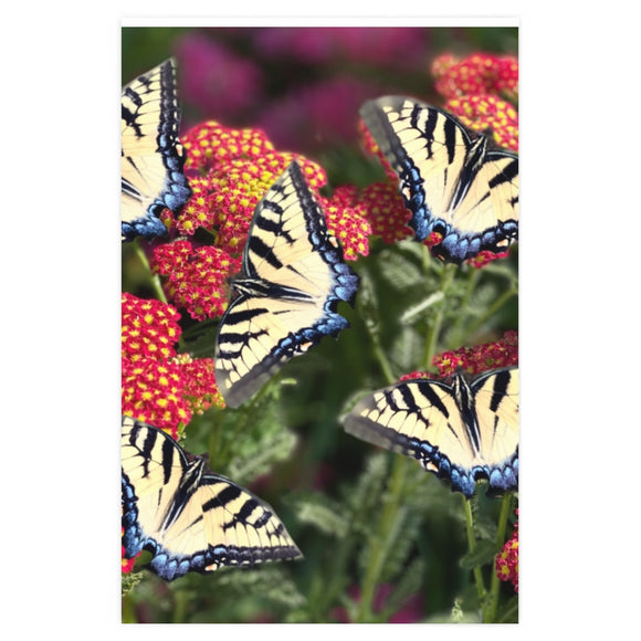 Tiger Swallowtail Wrapping Paper FREE SHIPPING