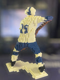 Hockey Player Micro-Block Model