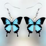 Ulysses Butterfly Earrings