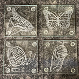 Glass Coasters, hand etched, Monarch Butterfly Life Cycle:  Set of 4