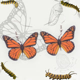 Monarch Butterfly Earrings version 4