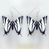 Zebra Swallowtail Butterfly Earrings