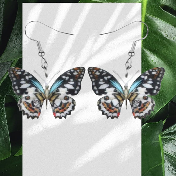 Gray Paranticopsis Xenocles Butterfly Earrings