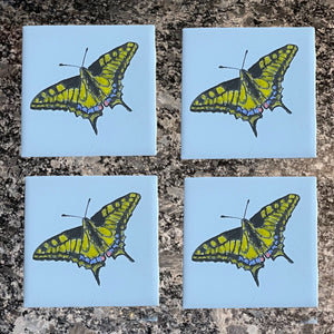 Hand Painted Tiger Swallowtail Ceramic Coasters