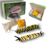 Monarch Caterpillar Mini Morph Micro-Block Brick Model, Designed and Packaged in USA