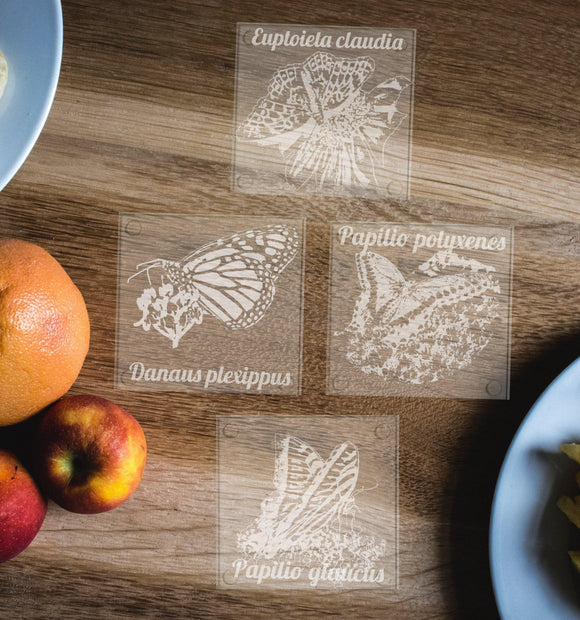 Hand etched Glass coasters featuring Butterflies, Monarch, Fritilary, Black Swallowtail, and Tiger Swallowtail - Inspired Passion Productions