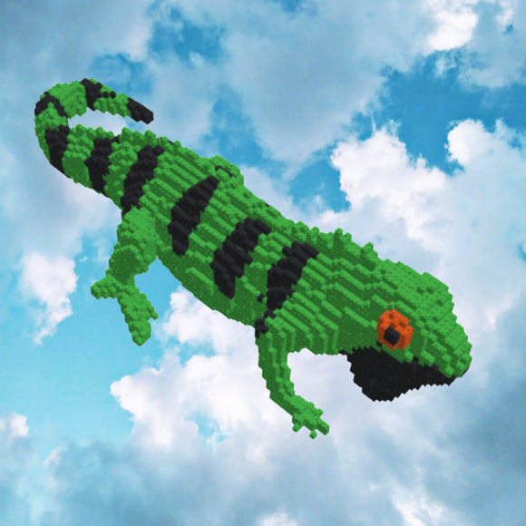 Iguana Micro-Block model