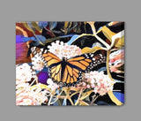 Butterfly Canvas Prints Special Offer - Inspired Passion Productions