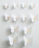 Butterfly Magnets great for Fridge! V 2