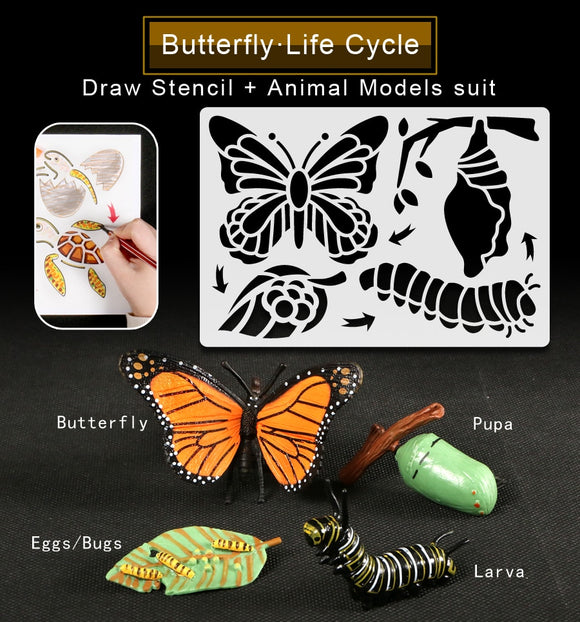 Montessori Ladybug,Butterfly,Chicken,Frog Life Cycle Drawing Stencils,Animals Models Figurine Teaching Educational toys for Kids