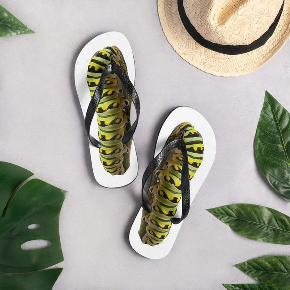Flip-Flops swallowtail caterpillar pattern - Inspired Passion Productions